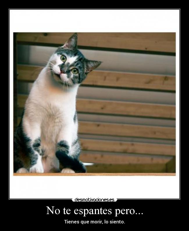 No te espantes pero... - Tienes que morir, lo siento.