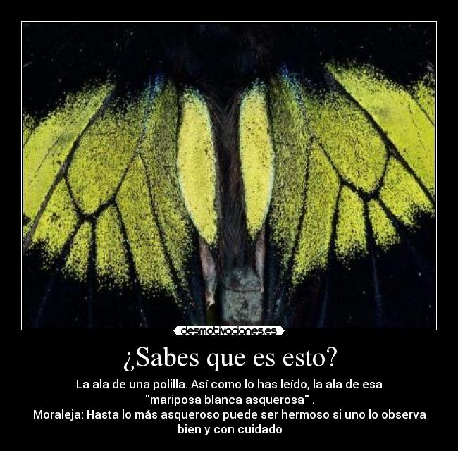 ¿Sabes que es esto? -