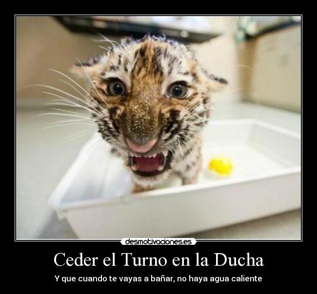Ceder el Turno en la Ducha - Y que cuando te vayas a bañar, no haya agua caliente