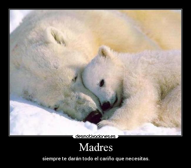 Madres - 