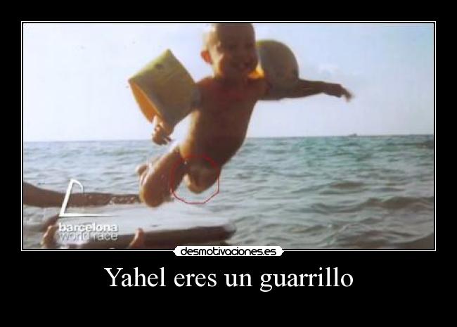 carteles parecera bonito desmotivaciones