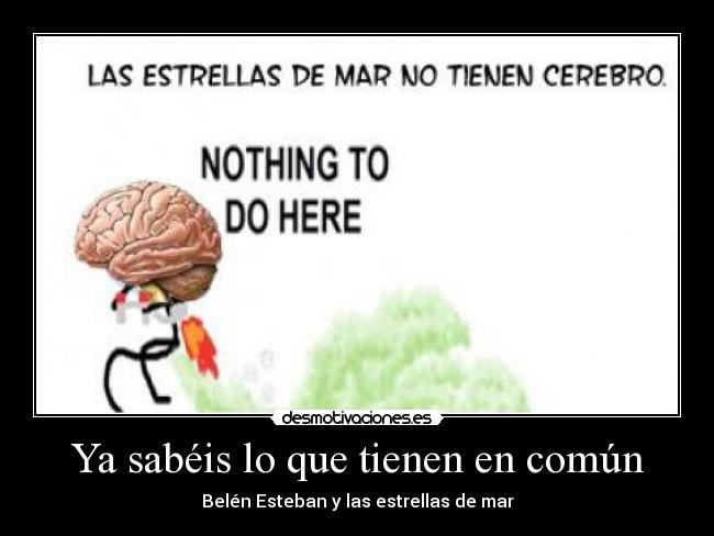 Ya sabéis lo que tienen en común - Belén Esteban y las estrellas de mar