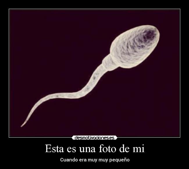 Esta es una foto de mi - 