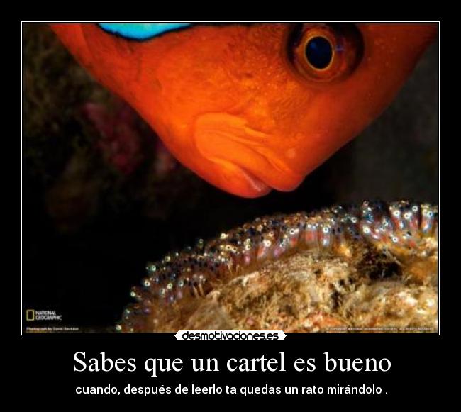 Sabes que un cartel es bueno - cuando, después de leerlo ta quedas un rato mirándolo .