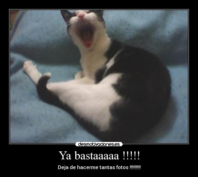 Ya bastaaaaa !!!!! - 