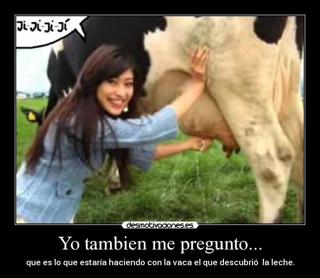 carteles vaca desmotivaciones