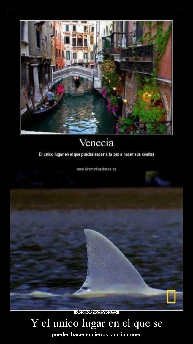 Y el unico lugar en el que se - 