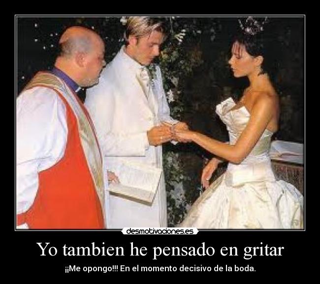 Yo tambien he pensado en gritar -