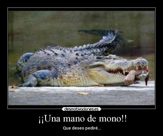 ¡¡Una mano de mono!! -
