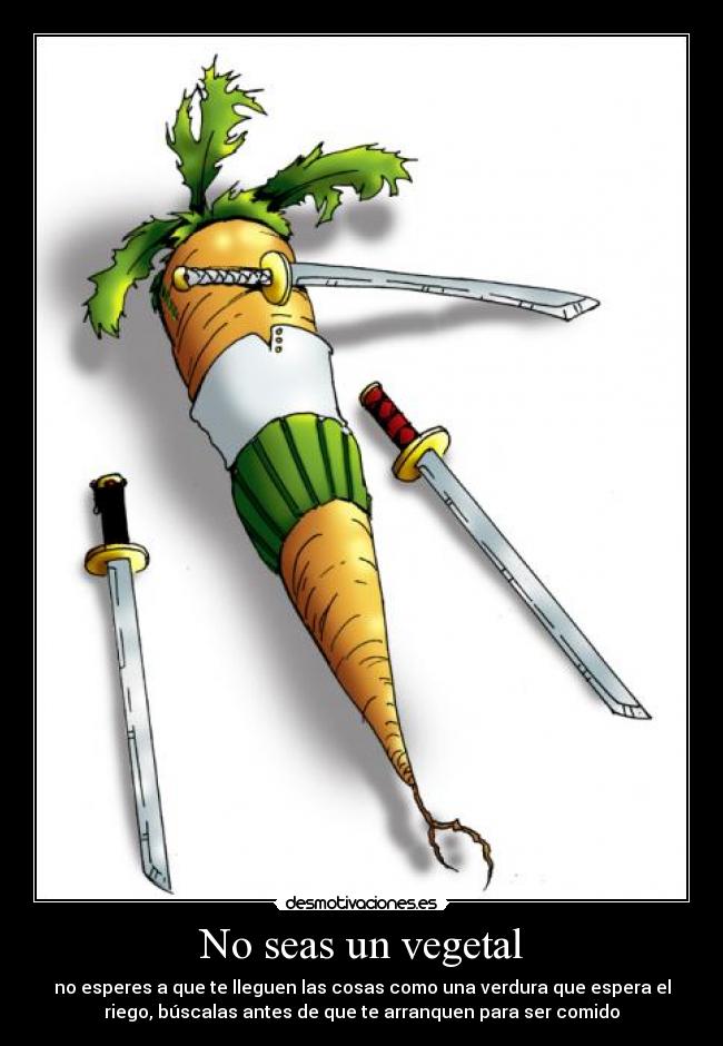 carteles one piece vegetal zoro clanvirus esperar llegar cosas espera riego buscar comer desmotivaciones
