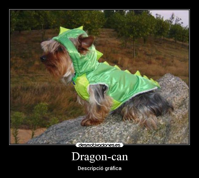 Dragon-can -