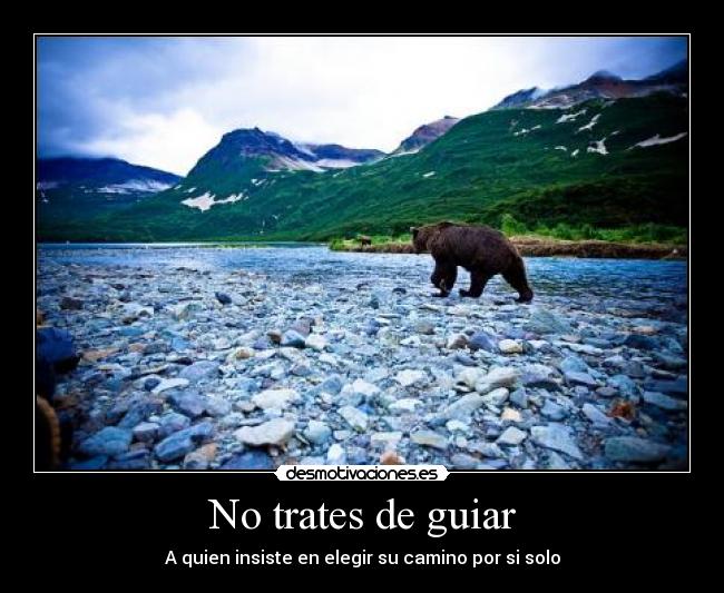 No trates de guiar -