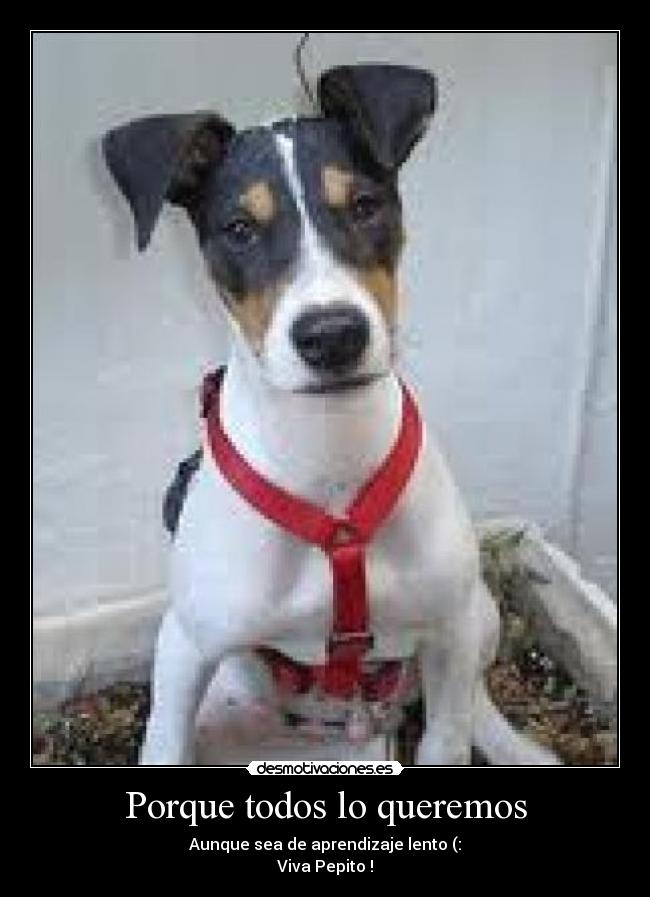 Porque todos lo queremos -
