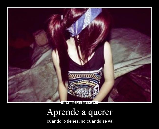 carteles aprendeaquerer desmotivaciones