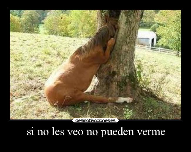 si no les veo no pueden verme -