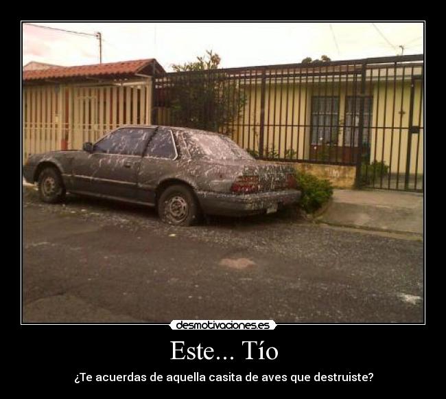 Este... Tío - ¿Te acuerdas de aquella casita de aves que destruiste?