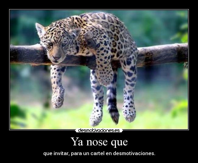 Ya nose que - que invitar, para un cartel en desmotivaciones.