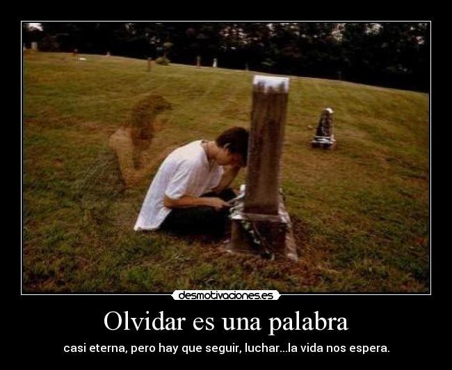 Olvidar es una palabra -