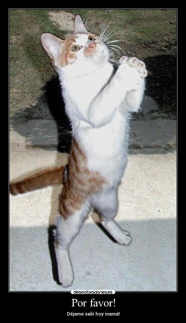 Por favor! - Déjame salir hoy mamá!