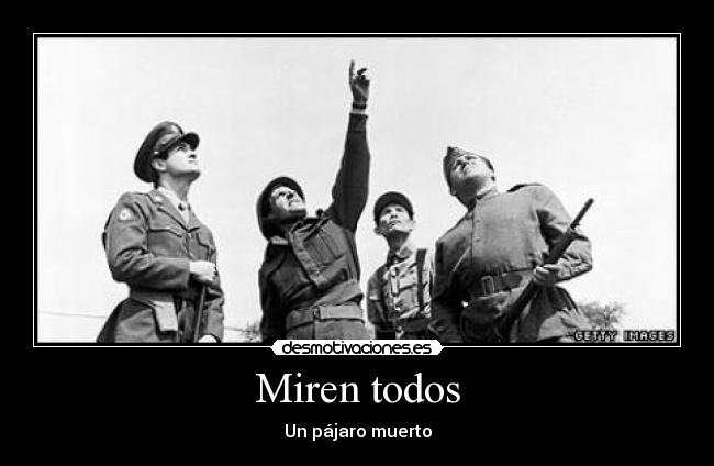 Miren todos - Un pájaro muerto