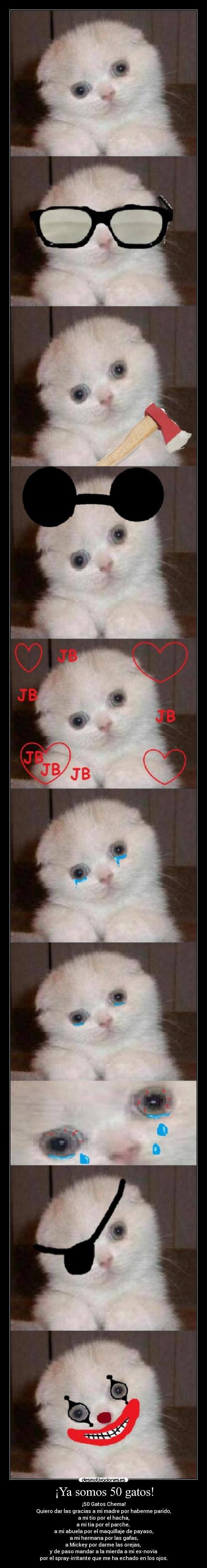 ¡Ya somos 50 gatos! - 