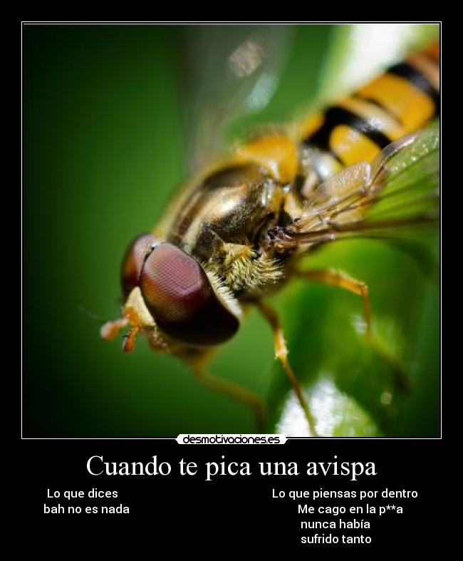 carteles lol desmotivaciones