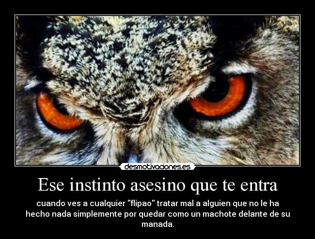 Ese instinto asesino que te entra - cuando ves a cualquier flipao tratar mal a alguien que no le ha
hecho nada simplemente por quedar como un machote delante de su
manada.