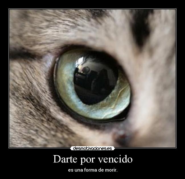 Darte por vencido - 