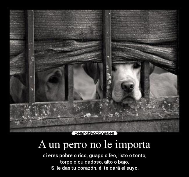 carteles deja leer las putas etiquetas mira cartel desmotivaciones