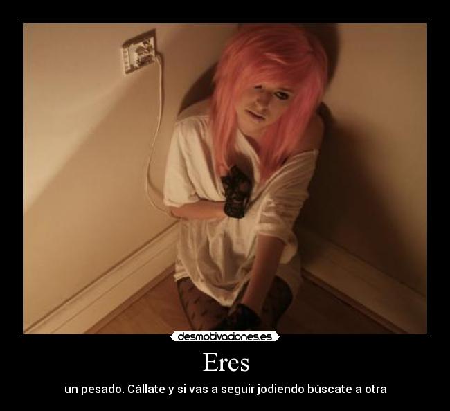 carteles pauliirubiita desmotivaciones