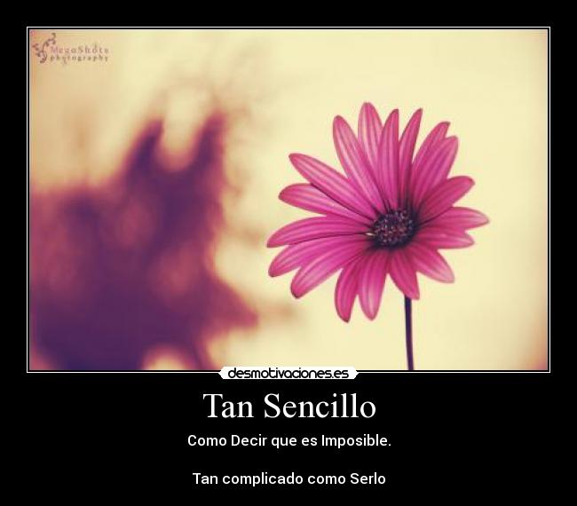 carteles sencillo complicado imposible amor lalalala soy una etiqueta desmotivaciones