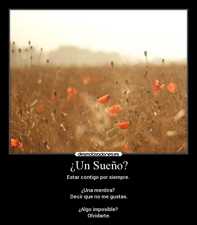 ¿Un Sueño? - 