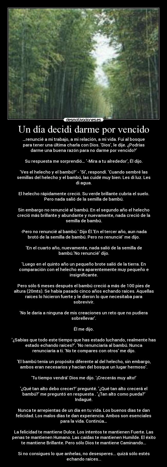 Un día decidi darme por vencido - …renuncié a mi trabajo, a mi relación, a mi vida. Fui al bosque
para tener una última charla con Dios. Dios, le dije. ¿Podrías
darme una buena razón para no darme por vencido?
Su respuesta me sorprendió… -Mira a tu alrededor, Él dijo.
Ves el helecho y el bambú? - Sí, respondí. Cuando sembré las
semillas del helecho y el bambú, las cuidé muy bien. Les di luz. Les
di agua.
El helecho rápidamente creció. Su verde brillante cubría el suelo.
Pero nada salió de la semilla de bambú.
Sin embargo no renuncié al bambú. En el segundo año el helecho
creció más brillante y abundante y nuevamente, nada creció de la
semilla de bambú.
-Pero no renuncié al bambú. Dijo Él.En el tercer año, aun nada
brotó de la semilla de bambú. Pero no renuncié me dijo.
En el cuarto año, nuevamente, nada salió de la semilla de
bambú.No renuncié dijo.
Luego en el quinto año un pequeño brote salió de la tierra. En
comparación con el helecho era aparentemente muy pequeño e
insignificante.
Pero sólo 6 meses después el bambú creció a más de 100 pies de
altura (20mts). Se había pasado cinco años echando raíces. Aquellas
raíces lo hicieron fuerte y le dieron lo que necesitaba para
sobrevivir.
No le daría a ninguna de mis creaciones un reto que no pudiera
sobrellevar.
Él me dijo.
¿Sabías que todo este tiempo que has estado luchando, realmente has
estado echando raíces?. No renunciaría al bambú. Nunca
renunciaría a ti. No te compares con otros me dijo.
El bambú tenía un propósito diferente al del helecho, sin embargo,
ambos eran necesarios y hacían del bosque un lugar hermoso.
Tu tiempo vendrá Dios me dijo. ¡Crecerás muy alto!
¿Qué tan alto debo crecer? pregunté. ¿Qué tan alto crecerá el
bambú? me preguntó en respuesta . ¿Tan alto como pueda?
Indagué.
Nunca te arrepientas de un día en tu vida. Los buenos días te dan
felicidad. Los malos días te dan experiencia. Ambos son esenciales
para la vida. Continúa…
La felicidad te mantiene Dulce. Los intentos te mantienen Fuerte. Las
penas te mantienen Humano. Las caídas te mantienen Humilde. El éxito
te mantiene Brillante. Pero sólo Dios te mantiene Caminando...
Si no consigues lo que anhelas, no desesperes... quizá sólo estés
echando raíces...