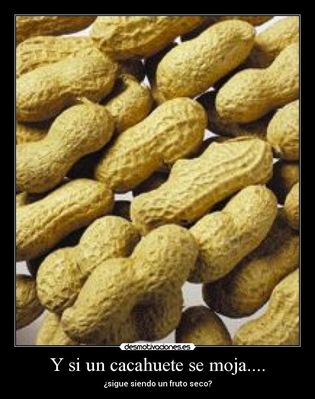 Y si un cacahuete se moja.... -