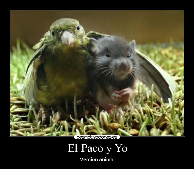 El Paco y Yo - Versión animal