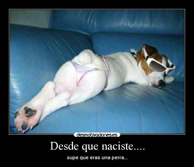 Desde que naciste.... - supe que eras una perra...