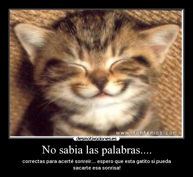 No sabia las palabras.... - correctas para acerté sonreír.... espero que esta gatito si pueda sacarte esa sonrisa!