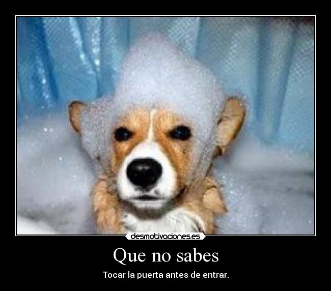 Que no sabes -