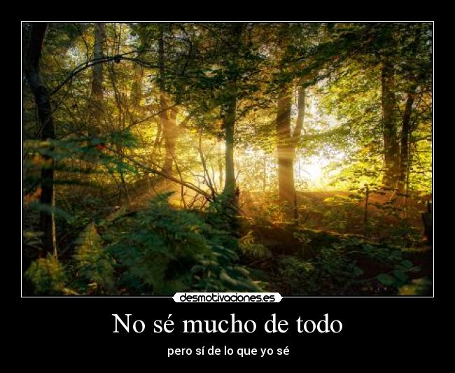 No sé mucho de todo -