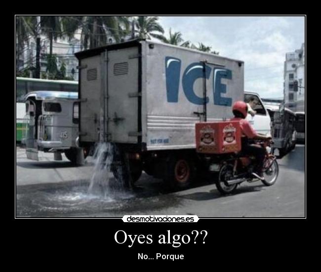Oyes algo?? - No... Porque