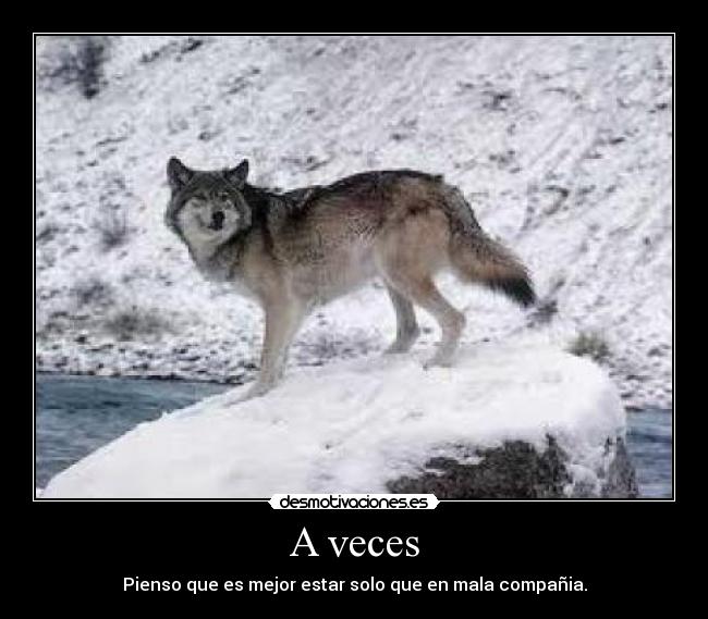 A veces - Pienso que es mejor estar solo que en mala compañia.