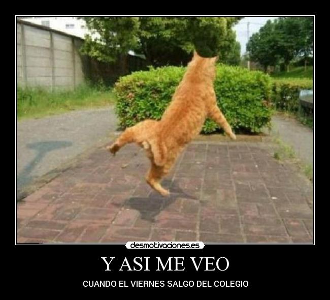 Y ASI ME VEO - CUANDO EL VIERNES SALGO DEL COLEGIO