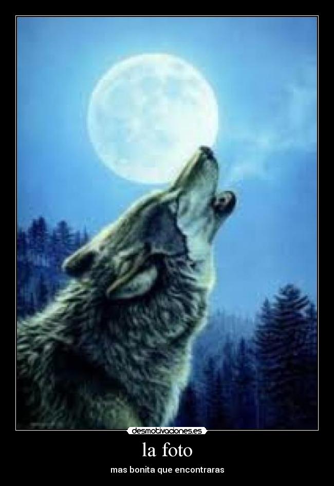 la foto - mas bonita que encontraras