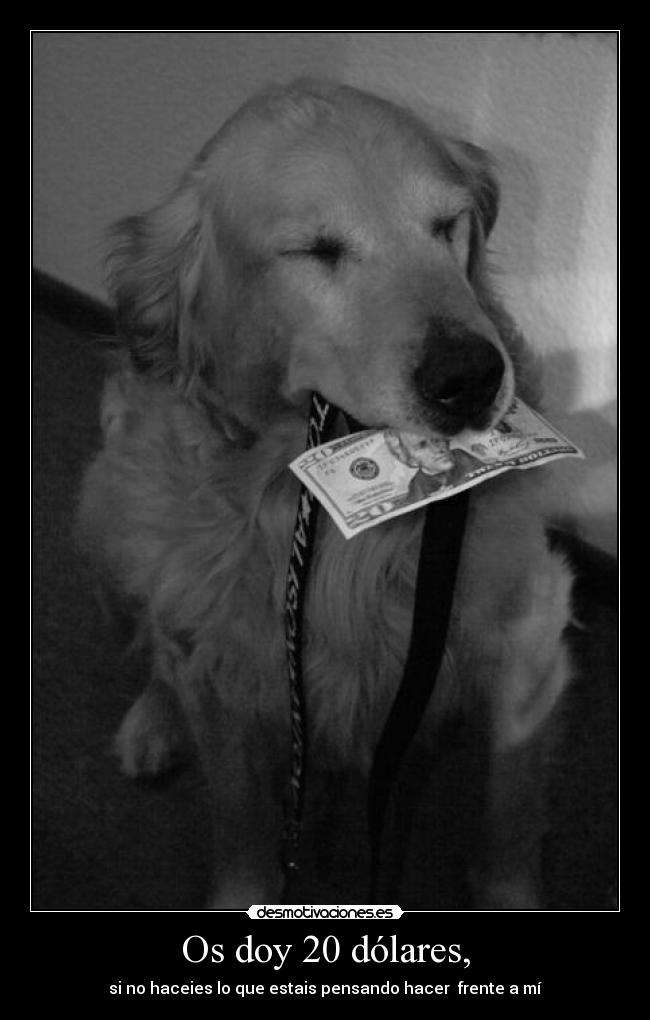 Os doy 20 dólares, - si no haceies lo que estais pensando hacer  frente a mí