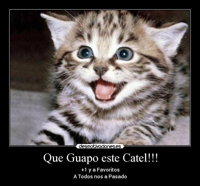 Que Guapo este Catel!!! - +1 y a Favoritos
A Todos nos a Pasado