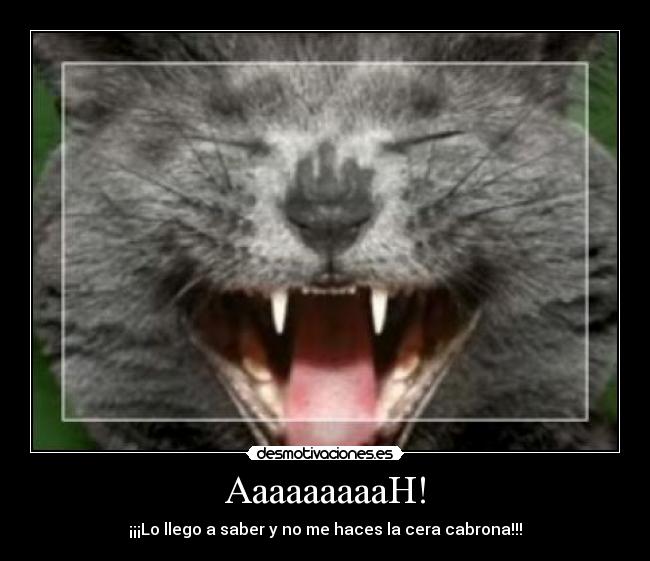 AaaaaaaaaH! - ¡¡¡Lo llego a saber y no me haces la cera cabrona!!!