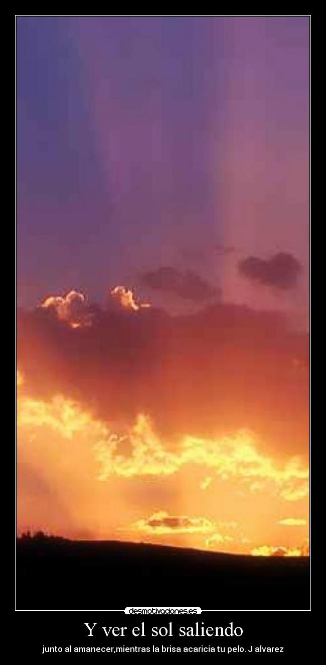 carteles alvarez desmotivaciones