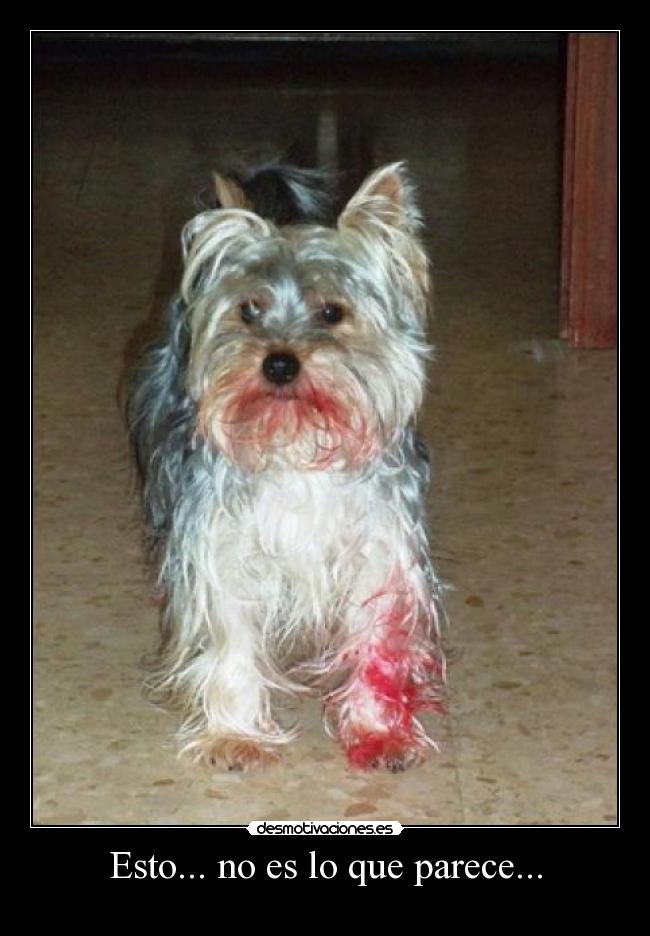 carteles denisrap desmotivaciones