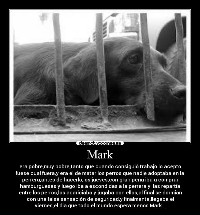 Mark -