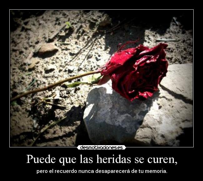 Puede que las heridas se curen, - 